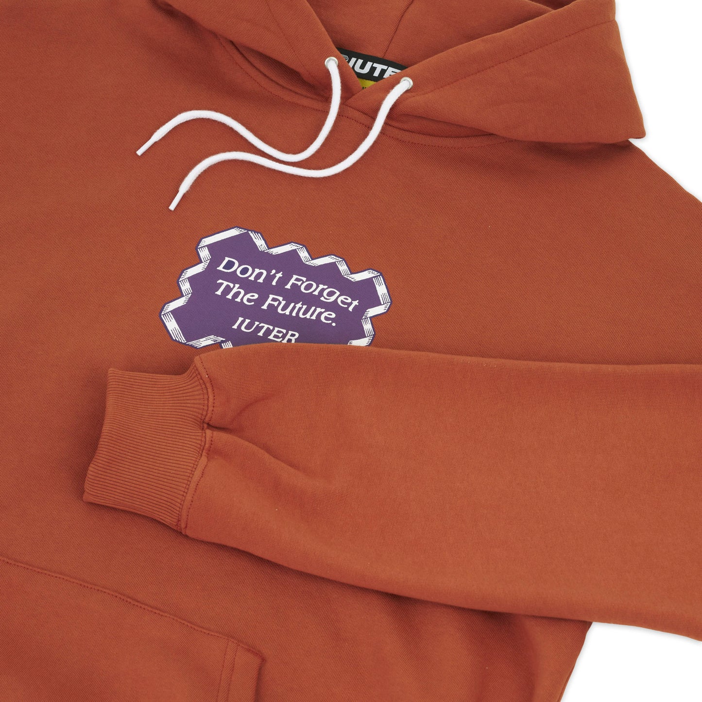 FUTURE HOODIE BRICK