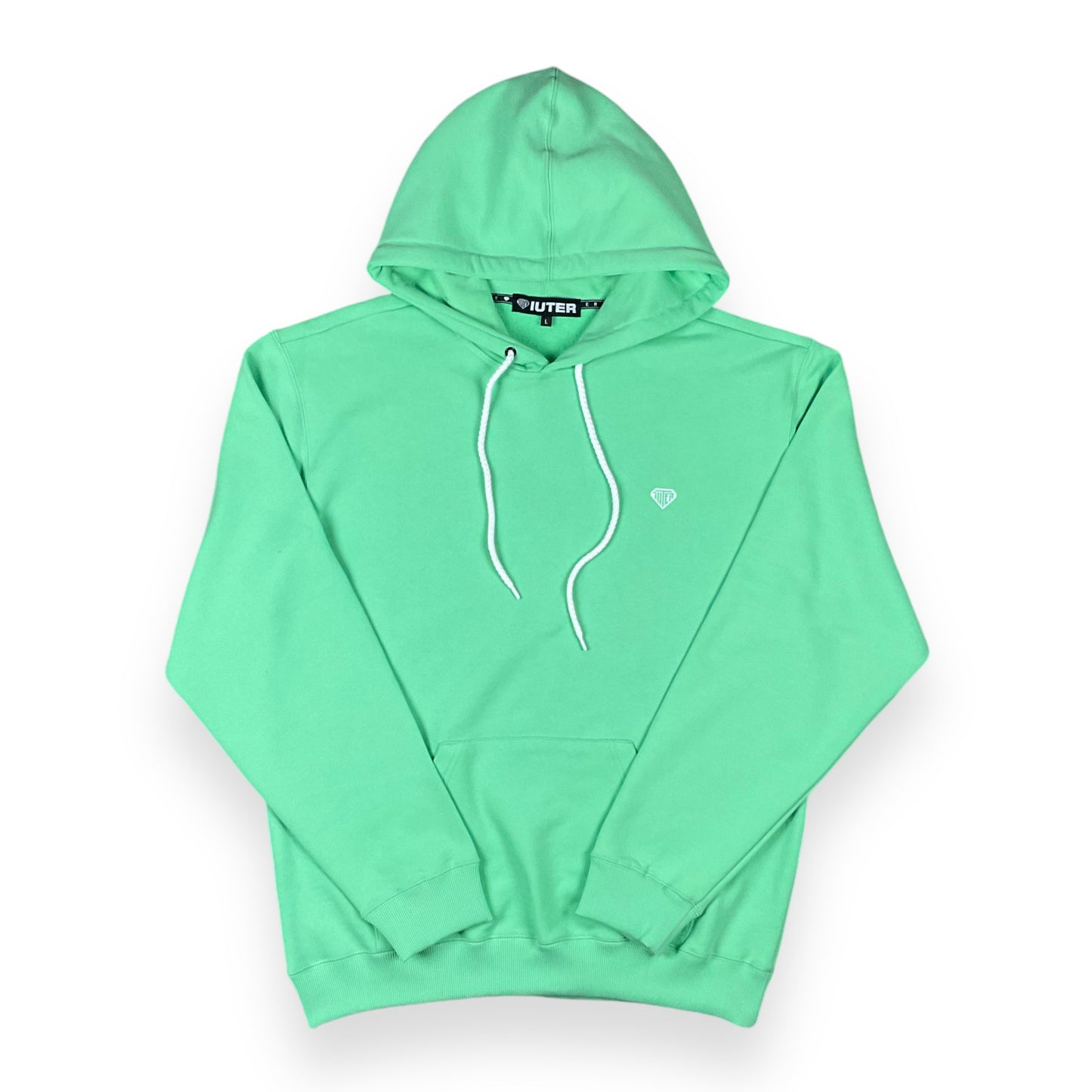 MINI LOGO HOODIE LOOSE UNBRUSHED MINT